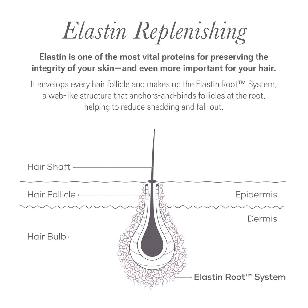 NULASTIN - LASH Follicle Fortifying Serum - Picture 8 of 12